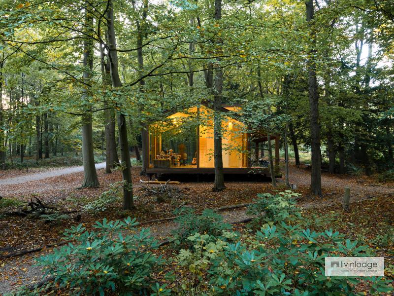 Tiny House Holzrahmenbau inmitten der Natur